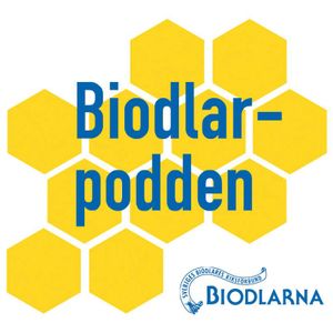 Biodlarpodden