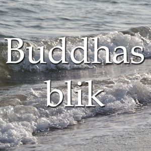 Buddhas blik