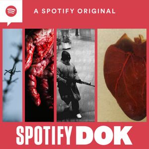 Spotify Dok