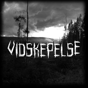 Vidskepelse